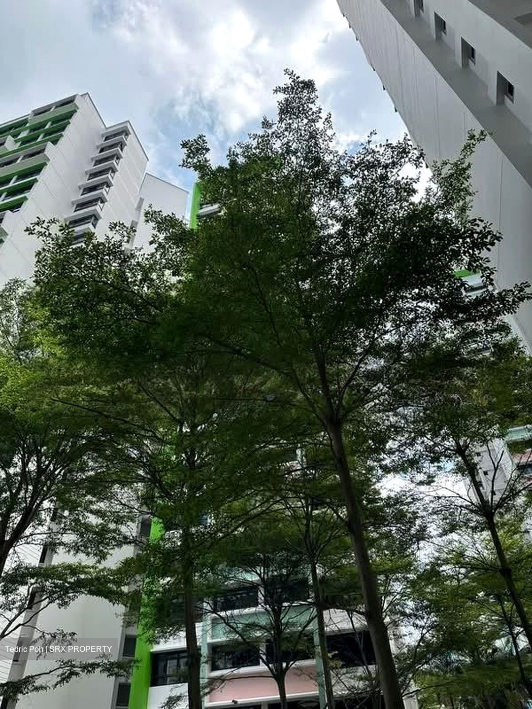 Blk 339A Kang Ching Road (Jurong West), HDB 4 Rooms #554766011